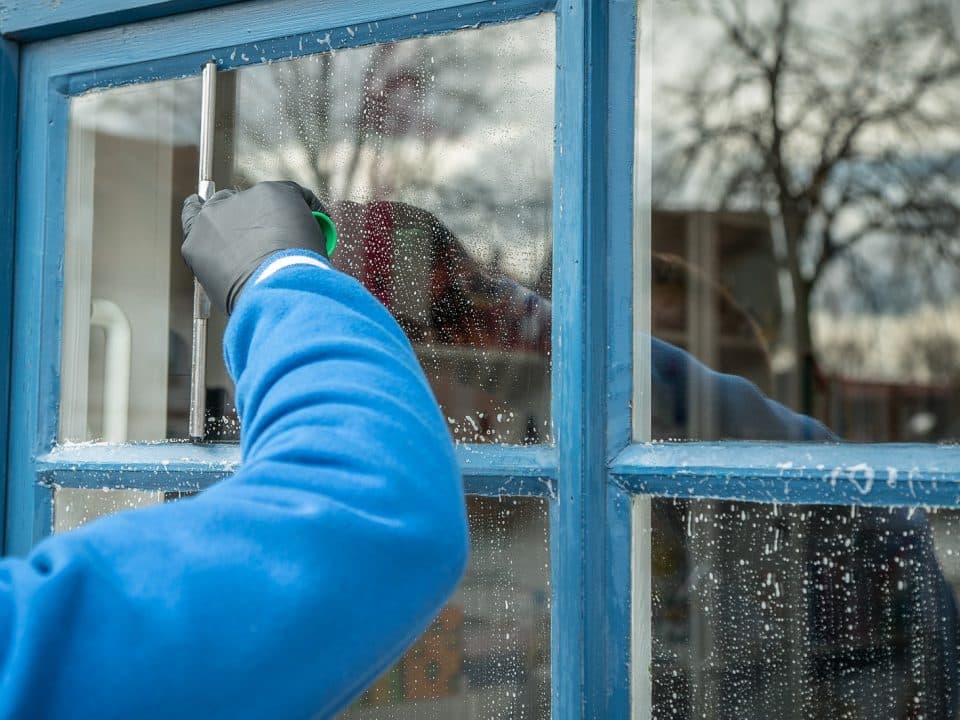 Professional Window Cleaner