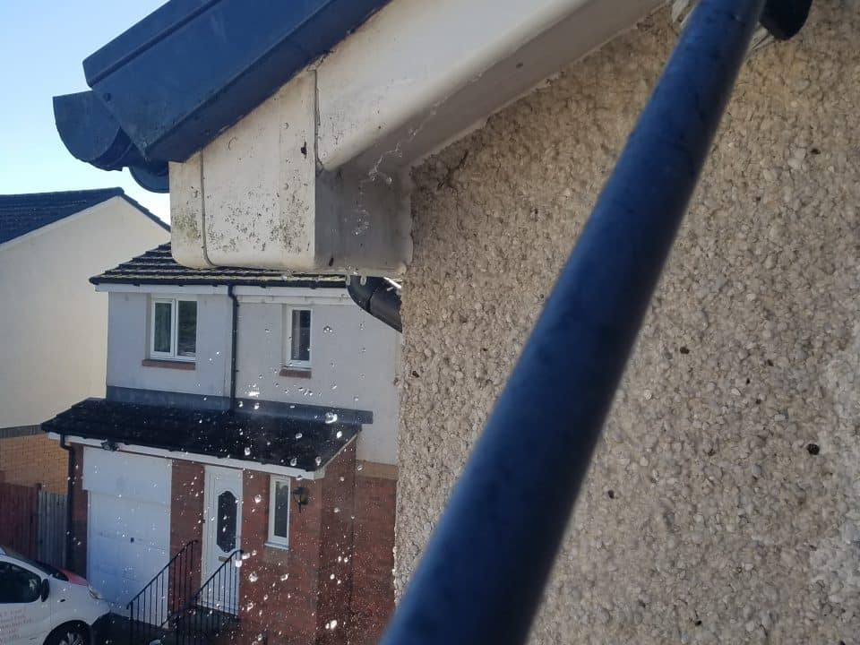 Soffit Cleaning