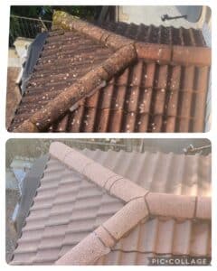 roof cleaning importance