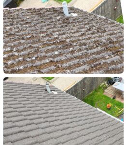 Fife Roof cleaning