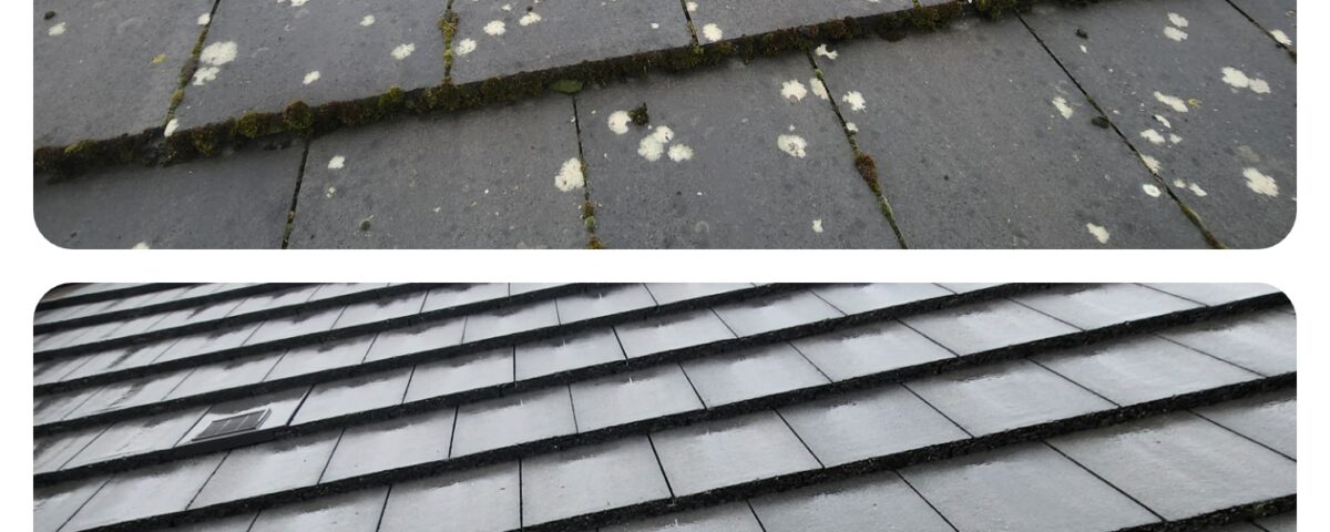 Fife Roof Cleaners