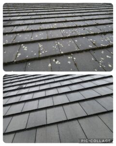 Fife roof cleaners